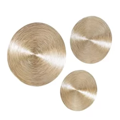 Set Of 3 Metal Plate Radial Wall Decors Brown - Olivia & May -Northlight Store GUEST 02f86e4b ceff 43a1 a3af 1829c50eca29