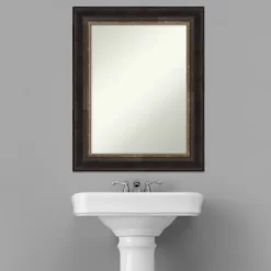 24" X 30" Non-Beveled Varied Black Bathroom Wall Mirror - Amanti Art -Northlight Store GUEST 0ab3b230 0614 4d36 a378 e220604008ac