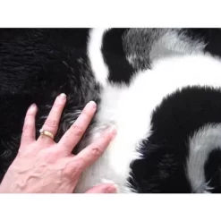 Walk On Me Faux Fur Super Soft Kids Panda Bear Rug Tufted With Non-slip Backing Area Rug 12 Walk On Me Faux Fur Super Soft Kids Panda Bear Rug Tufted With Non-slip Backing Area Rug -Northlight Store GUEST 121d6a53 8c22 47a5 b81d 41e68381e45a