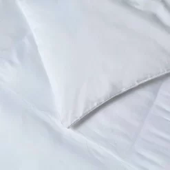 Microfiber Down Alternative Comforter All Seasons - Blue Ridge Home Fashions -Northlight Store GUEST 14a370db 1cd8 4458 a130 49c6fda4011c