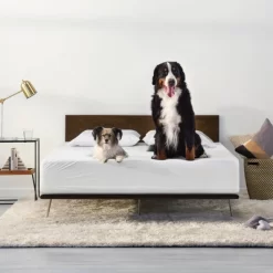 Machine Washable Waterproof Mattress Protector - Tuft & Needle -Northlight Store GUEST 19827f0d 28d0 4c0e 9286 47ed33bcccd0