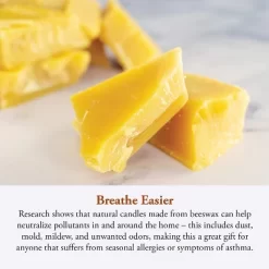 Candle By The Hour 60-Hour Candle Refill, Eco-friendly Natural Beeswax With Cotton Wick -Northlight Store GUEST 1be736d2 98df 44a4 a9c7 7790105f7a35