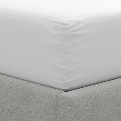 Maximum Mattress Protector White - AllerEase 12 Maximum Mattress Protector White - AllerEase -Northlight Store GUEST 28d71dd5 c8f6 41a0 bf64 69957ae8e0b2