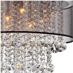 Northlight Store -Northlight Store GUEST 420d17ff 5ca1 4918 a5df dcb036eaf915