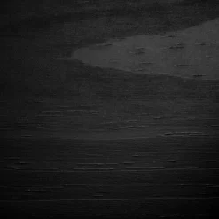 Twin Fakto Solid Wood Bunk Beds Matte Black - South Shore -Northlight Store GUEST 434e89c4 0424 4882 803c 016cb10613e9