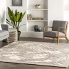 NuLOOM Jae Transitional Pebbles Wool Area Rug -Northlight Store GUEST 4cb54556 8df9 49db a691 d09b27a5bbdb