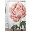 Nadia M Lopez Peony Bloom Shower Curtain Pink - Deny Designs -Northlight Store GUEST 56211a7c 6897 4962 bb45 f8b81d7fbc6b