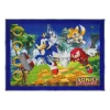Sonic The Hedgehog Rug 1 Sonic The Hedgehog Rug -Northlight Store GUEST 5bc481fc 761a 4bcd a0a9 6221b636e605