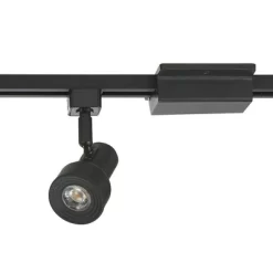 Northlight Store -Northlight Store GUEST 61ec6a70 f405 4dc9 b389 c57d49924a3f