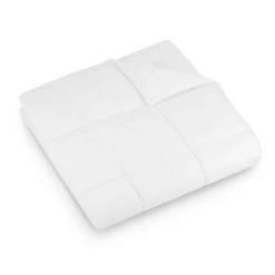 Lightweight Goose Down Alternative Comforter Queen White - DOWNLITE