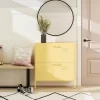 Cache 2 Door Shoe Storage Cabinet Yellow - Novogratz -Northlight Store GUEST 6fe9e2d2 8b39 4437 8088 2bed4c2b1f5e