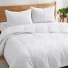 Puredown Lightweight Breathable 75% White Down Comforter Duvet Insert, Cooling Oversized Blanket 1 Puredown Lightweight Breathable 75% White Down Comforter Duvet Insert, Cooling Oversized Blanket -Northlight Store GUEST 7bad1b86 c017 4763 93b4 8659d061f5d1