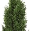 Nearly Natural 4' Cedar Tree Silk Tree (In-door/Out-door) -Northlight Store GUEST 8228e995 0945 45f7 8a73 1b8135e11763
