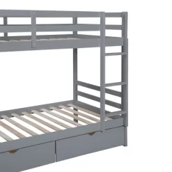Twin-Over-Twin Bunk Bed With A Tree Decor And Two Storage Drawers-ModernLuxe 23 Twin-Over-Twin Bunk Bed With A Tree Decor And Two Storage Drawers-ModernLuxe -Northlight Store GUEST 9edf87c9 d582 43f5 b1f9 1a33288a79e0