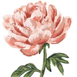 Nadia M Lopez Peony Bloom Shower Curtain Pink - Deny Designs -Northlight Store GUEST aa9898f9 375e 428a 8e51 a310822e3d2d