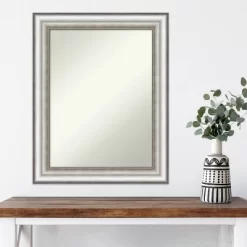23" X 29" Non-Beveled Salon Silver Wall Mirror - Amanti Art -Northlight Store GUEST b83b023d 8a4c 4f42 a70d 145e50f82c7d