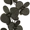 Set Of 2 Metal Floral Orchid Wall Decors With Black Frame Black - Olivia & May 2 Set Of 2 Metal Floral Orchid Wall Decors With Black Frame Black - Olivia & May -Northlight Store GUEST cb312350 6b15 42b6 af5a f5a1883c1d7c