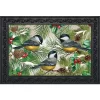 Winter Chickadees Doormat 30" X 18" Indoor Outdoor Briarwood Lane 2 Winter Chickadees Doormat 30" X 18" Indoor Outdoor Briarwood Lane -Northlight Store GUEST ea0a7df0 6c59 422f 8ed9 d18c0b24236c