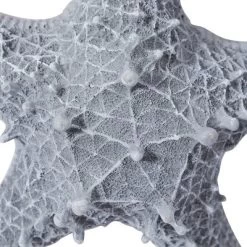 Polystone Starfish Wall Decor With Hanging Rope Gray - Olivia & May -Northlight Store GUEST ee60b9da e7a1 4bbf b423 49f37f95599e