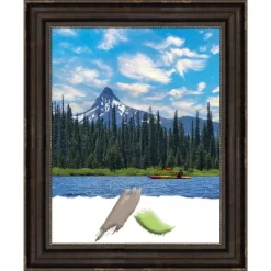 Amanti Art Stately Bronze Picture Frame -Northlight Store GUEST f741559d 98e9 40c8 9c65 417634a8c20e