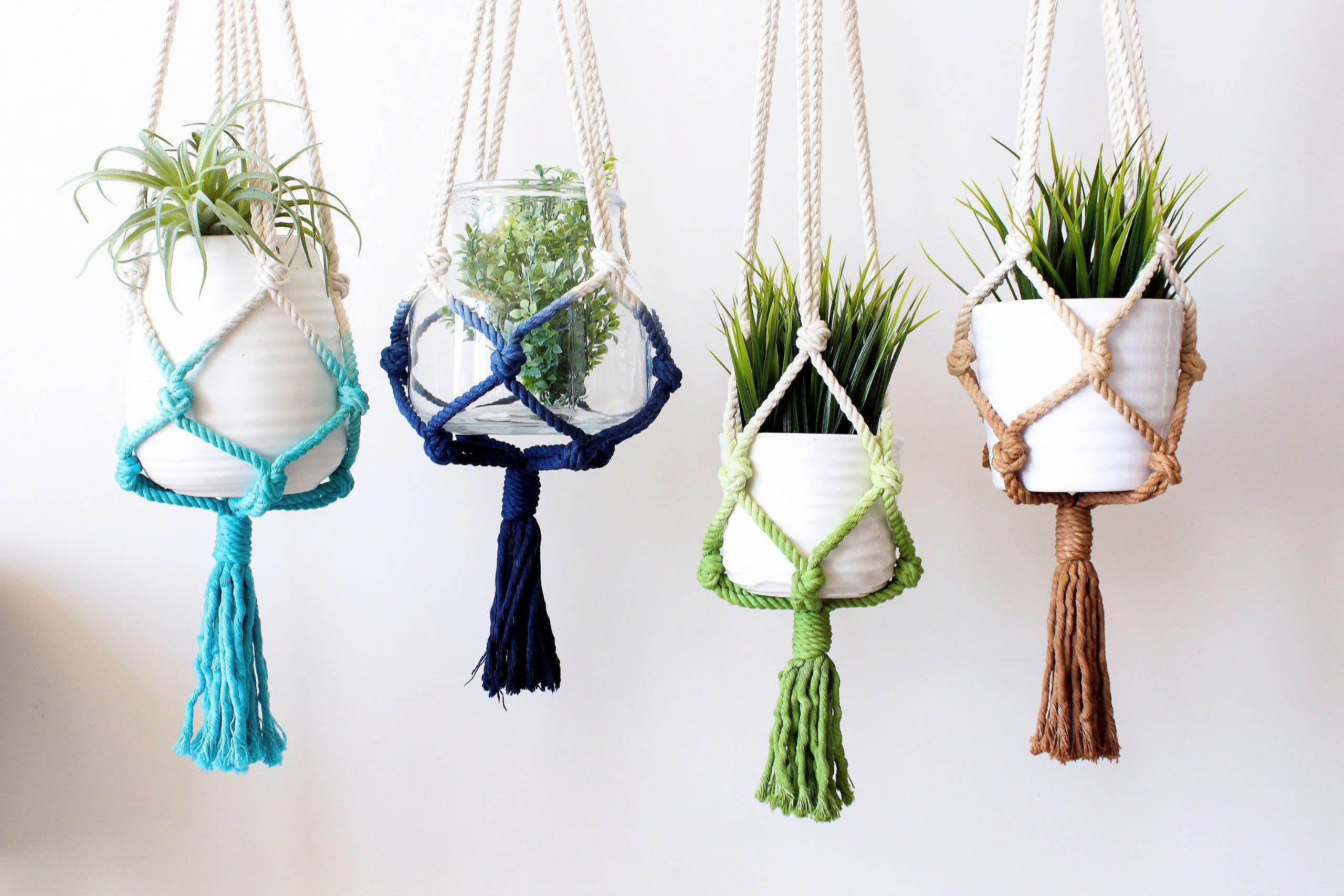 Northlight Store -Northlight Store z6539815804909 3795b9f9868e510de29c9d628ae36597